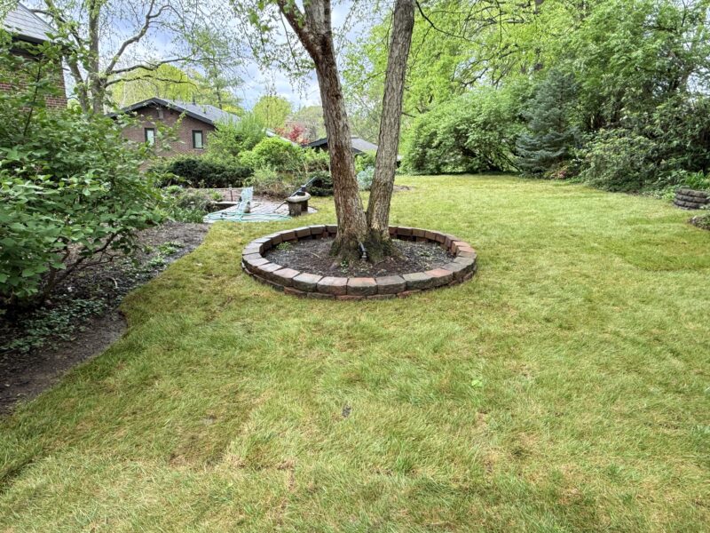 Cincinnati Sod Installation Services