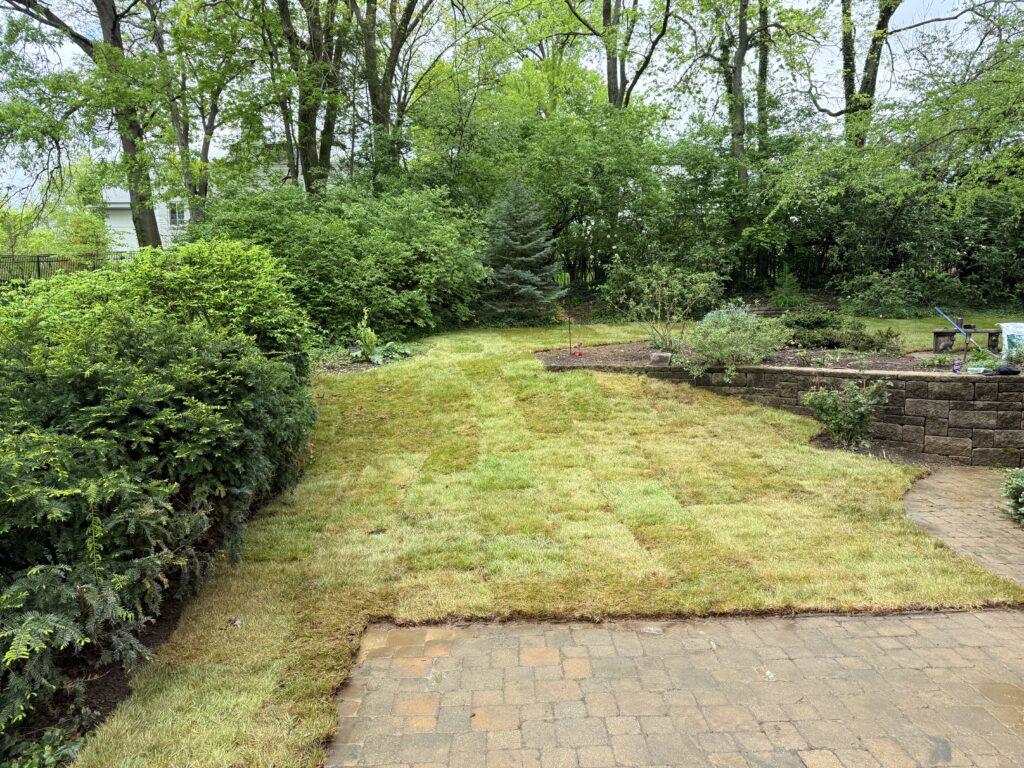 Cincinnati Sod Installation Services