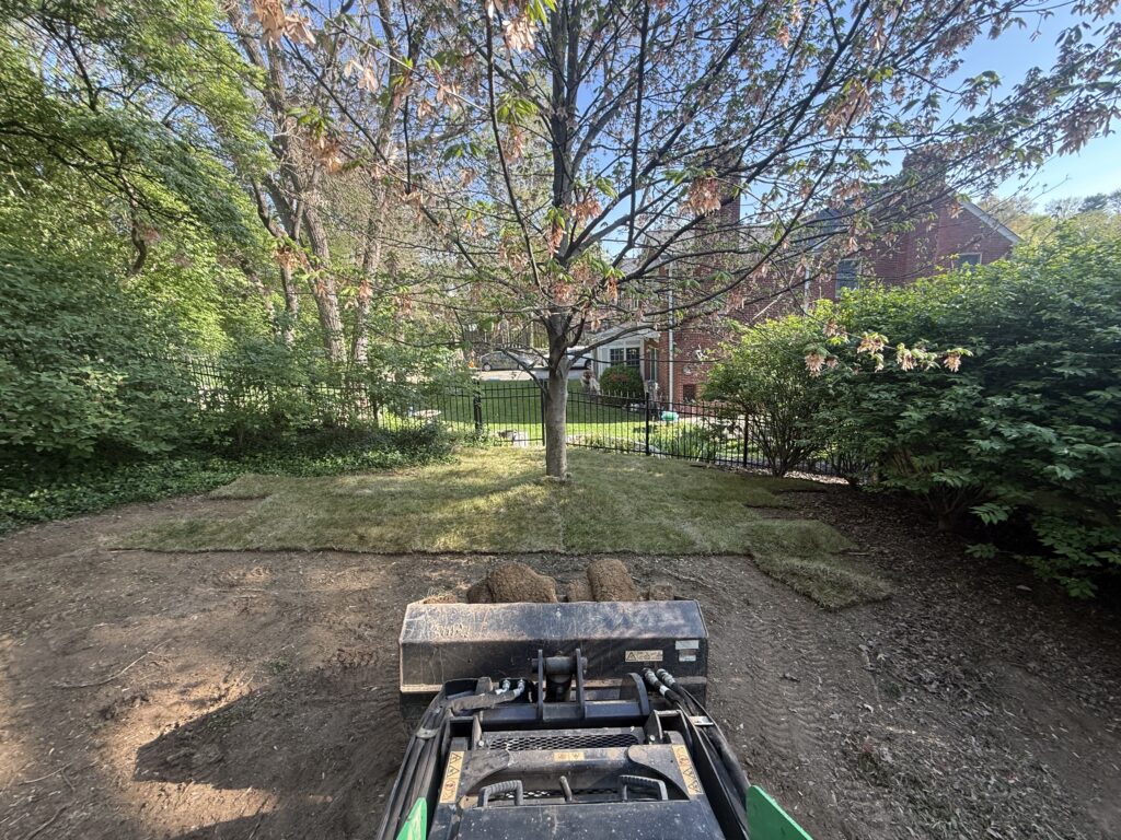 Kentucky Blue Grass sod installation