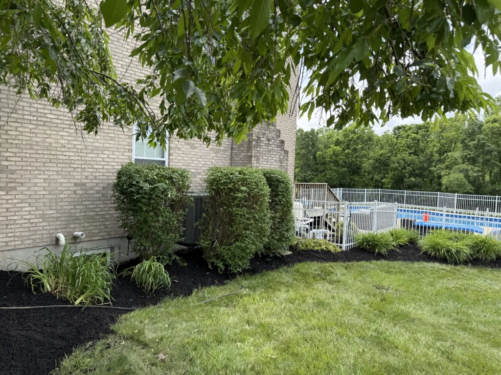 fence aroundpool 6462