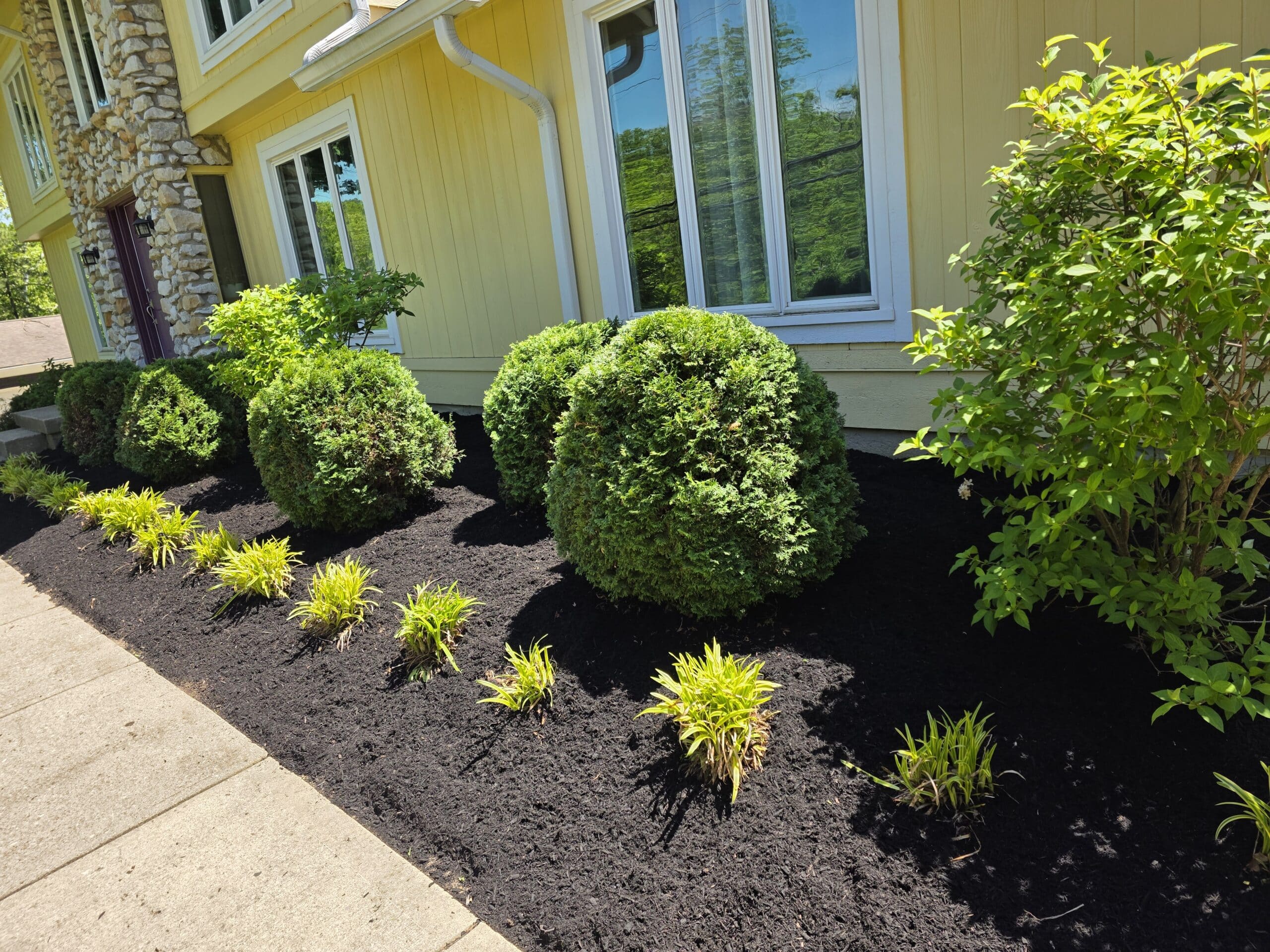 landscaper Cincinnati