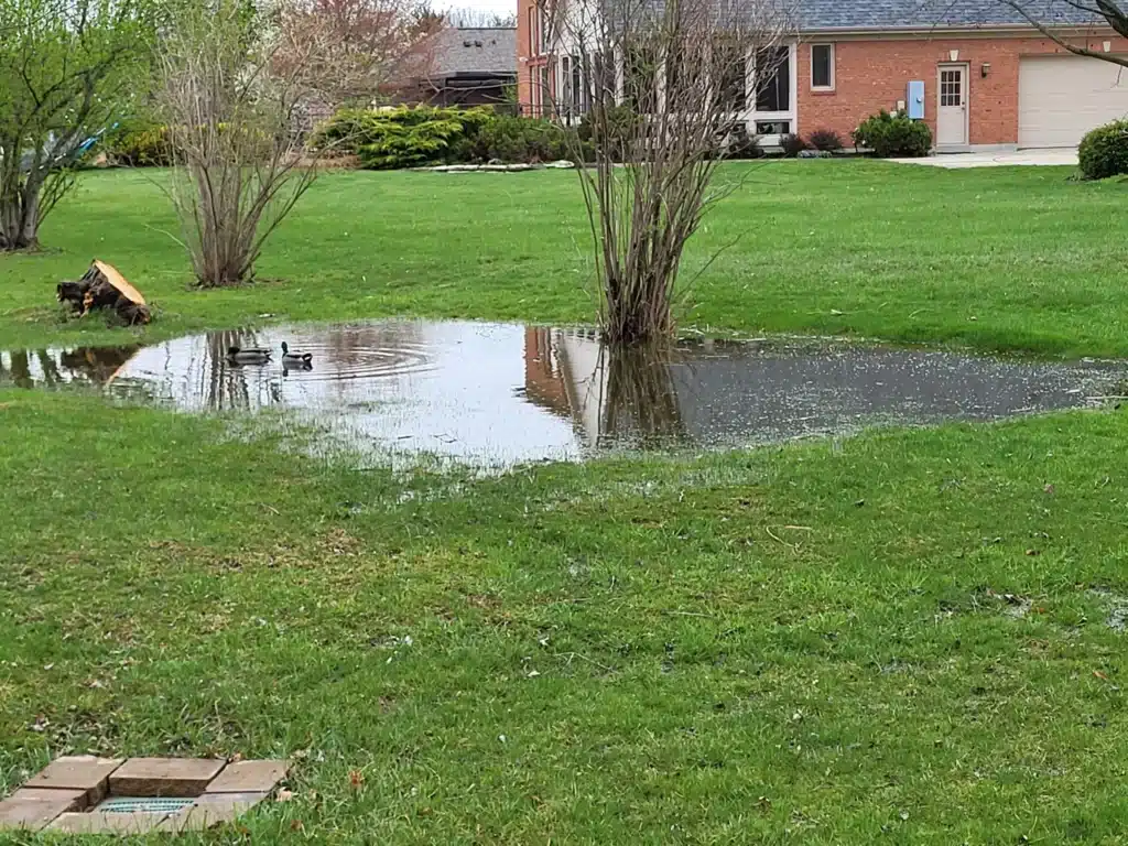 yard near me in CIncinnati